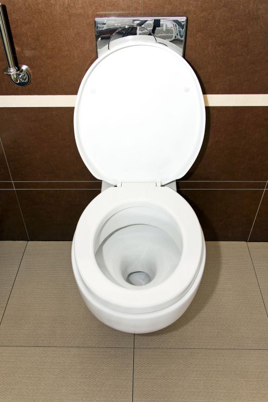 Toilet Seat Installation in Conroe, TX