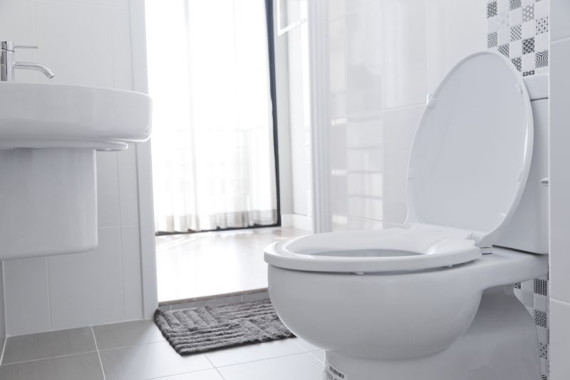 Toilet Seat Installation in Conroe, TX