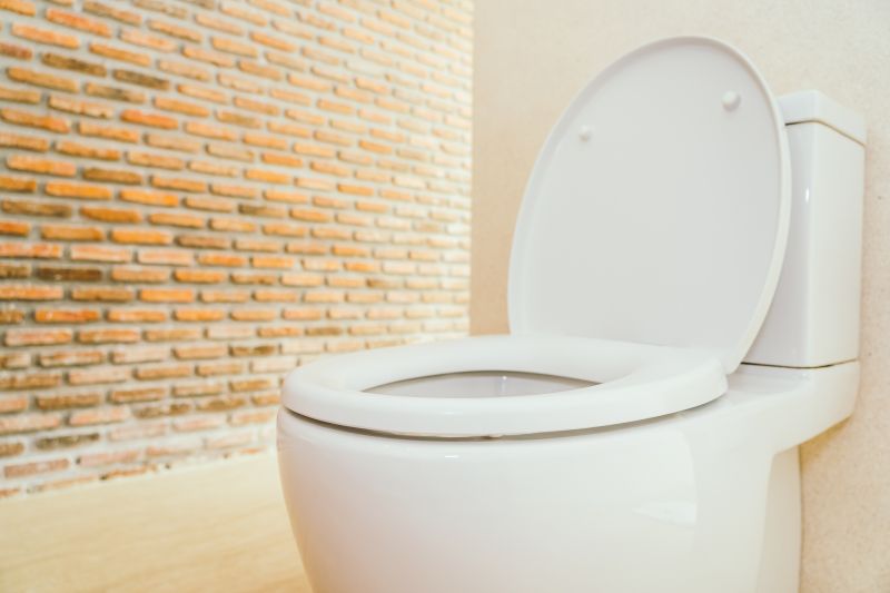 Toilet Seat Installation in Kansas City, KS